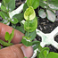 image05